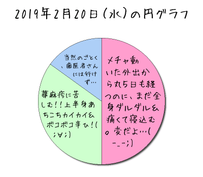 2019年2月20日（水）の円グラフ