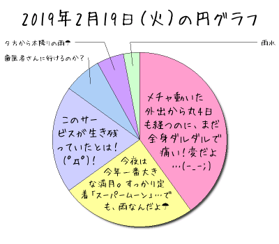 2019年2月19日（火）の円グラフ